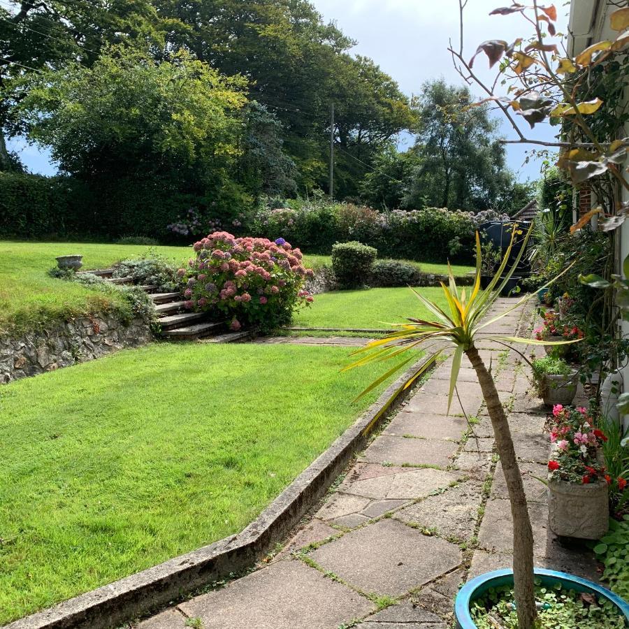 Nettle Bank Bed & Breakfast Lyme Regis Exterior photo